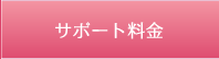 サポート料金